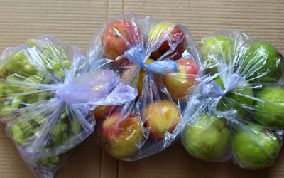 fruit in polythene