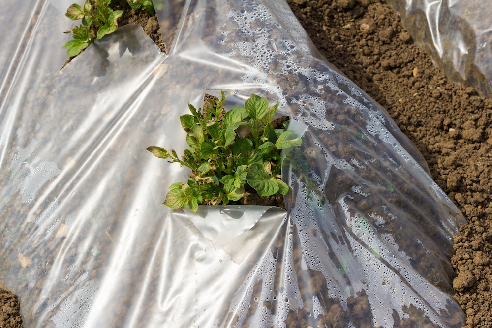 Polythene Sheeting and Different ways it can be used