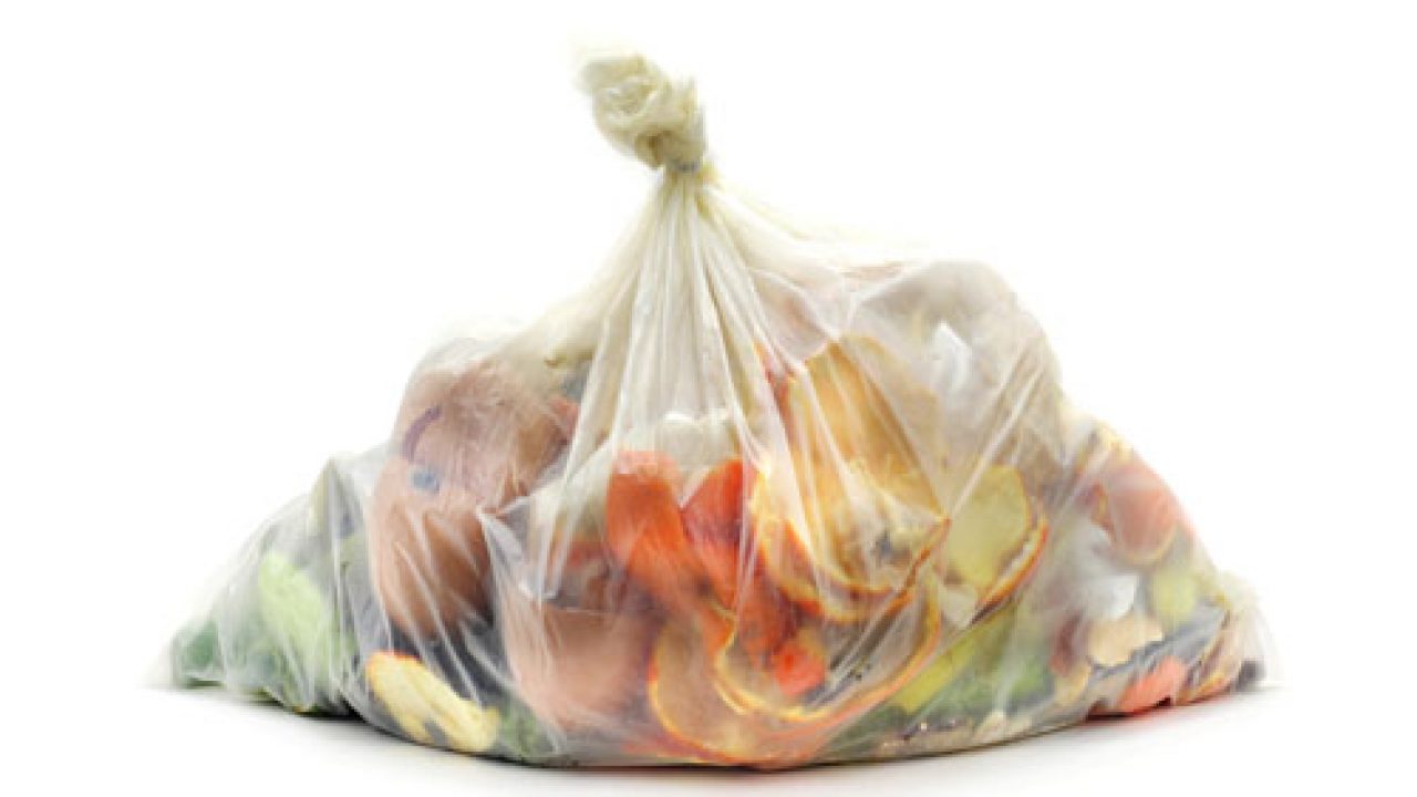aberdeen city council food waste bolsas