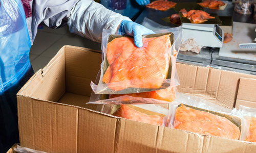 low melt eva polythene in fish production frozen food eva low melt bag