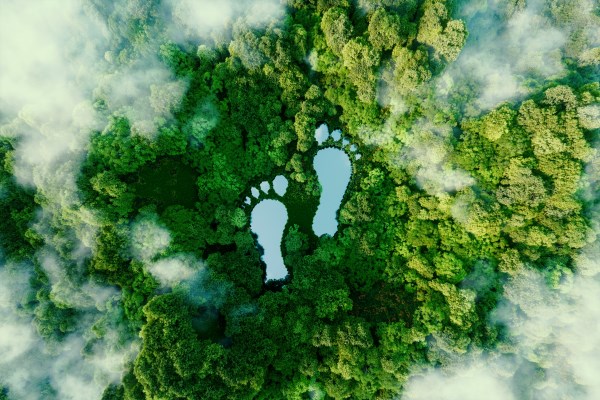 sustainable carbon footprint
